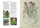    (Larousse Gastronomique)  I