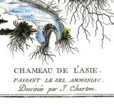   (J. Charton). 