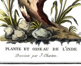   (J. Charton).      