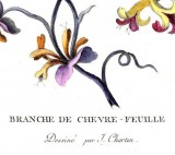   (J. Charton). 